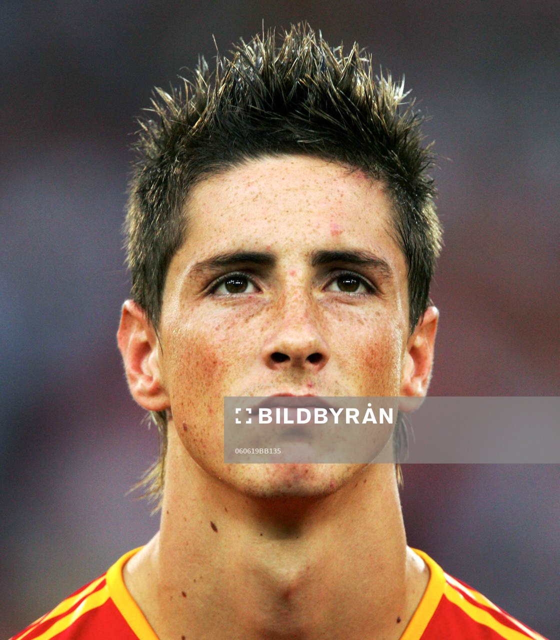 Fernando Torres, Spanien, porträtt