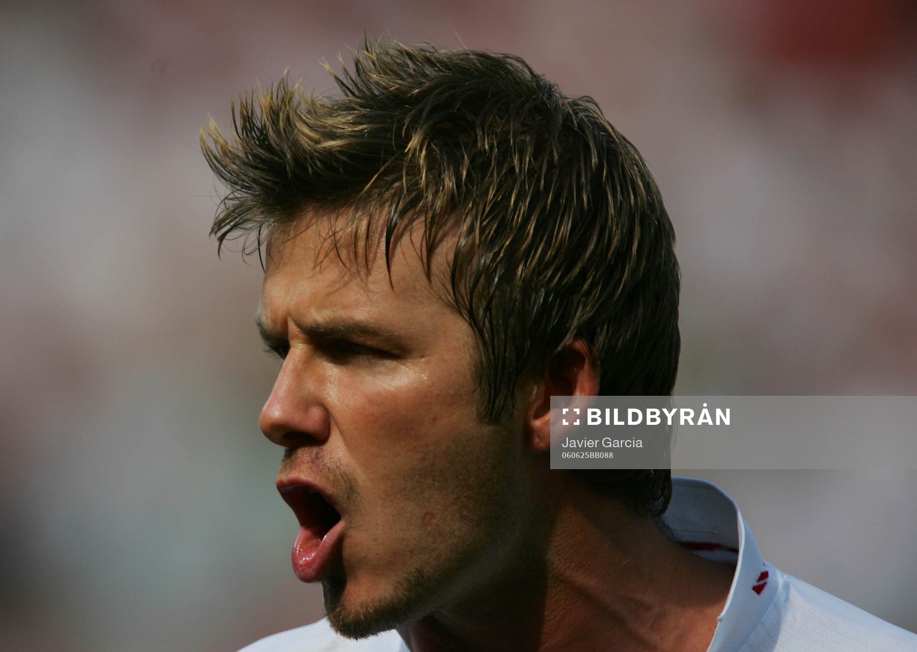 David Beckham