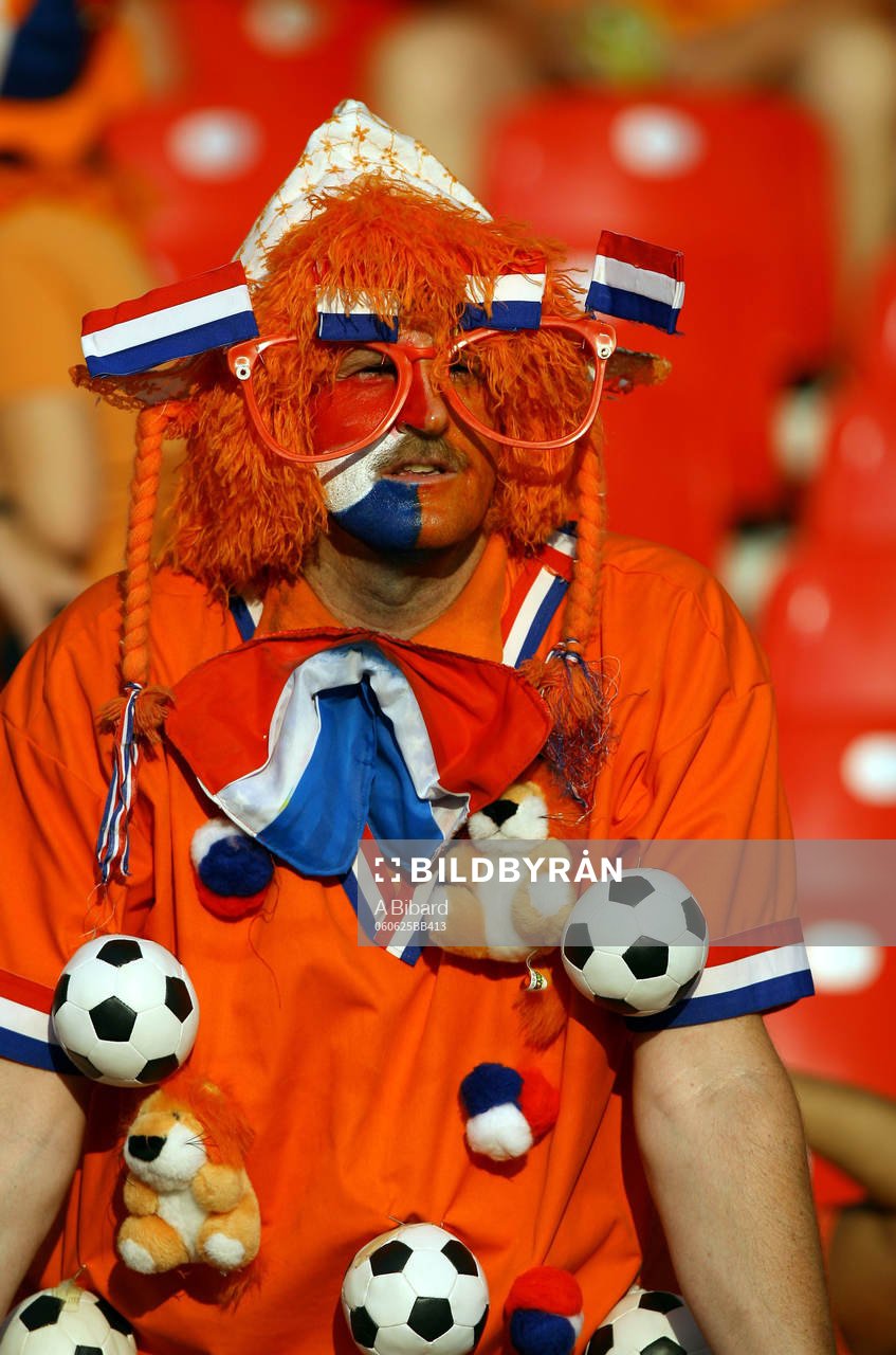 Supporter, fan, hatt, glasögon, peruk