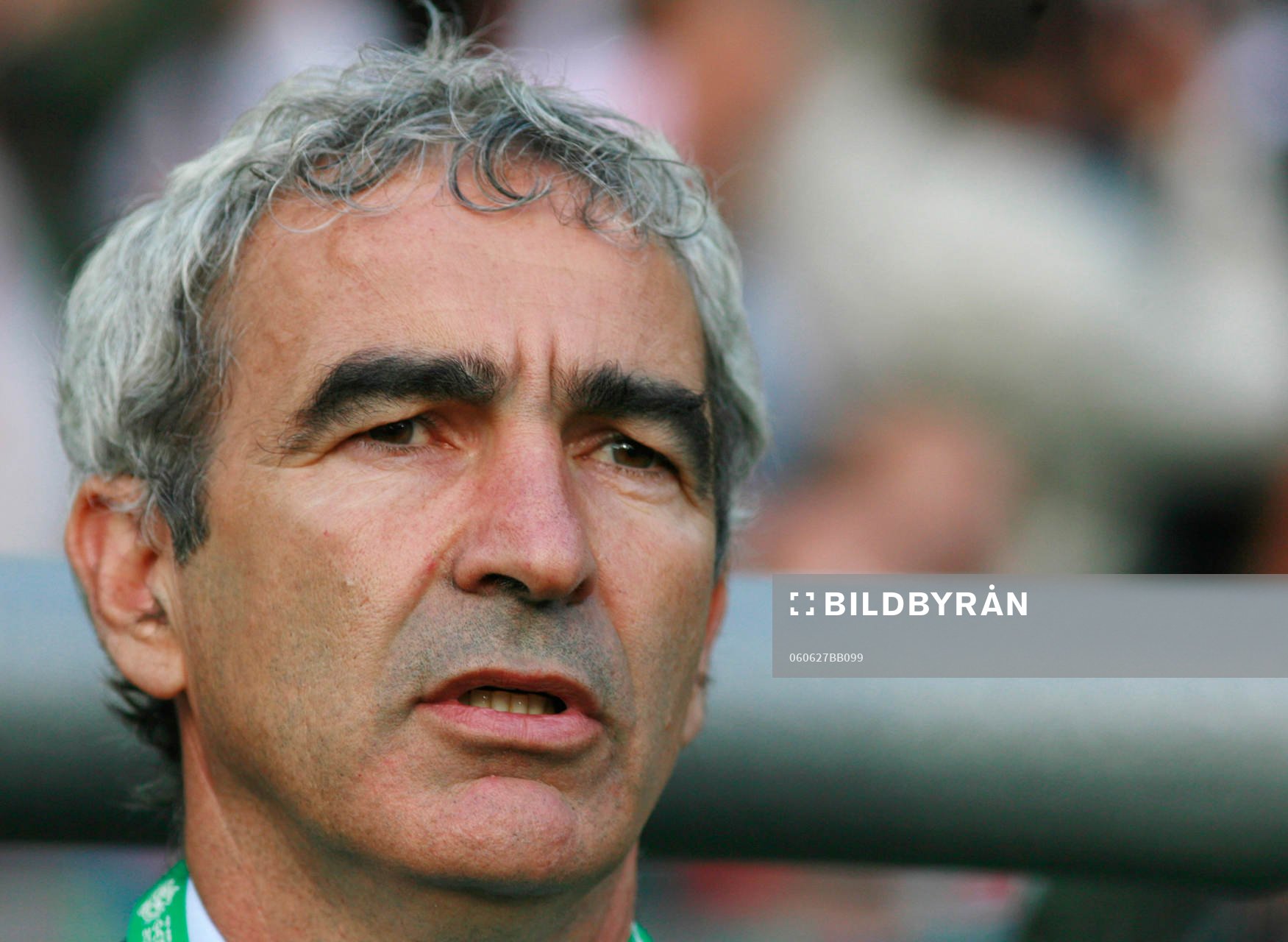 Raymond Domenech, förbundskapten, Frankrike