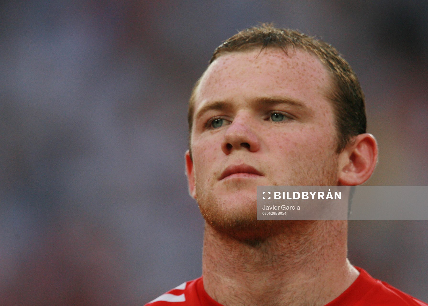 Wayne Rooney (Porträtt)