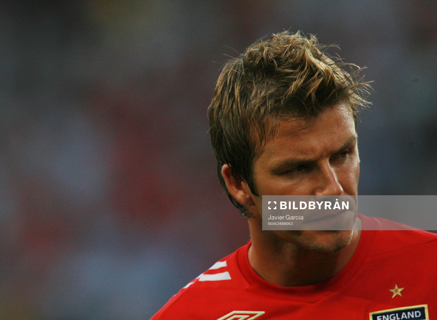David Beckham (Porträtt)