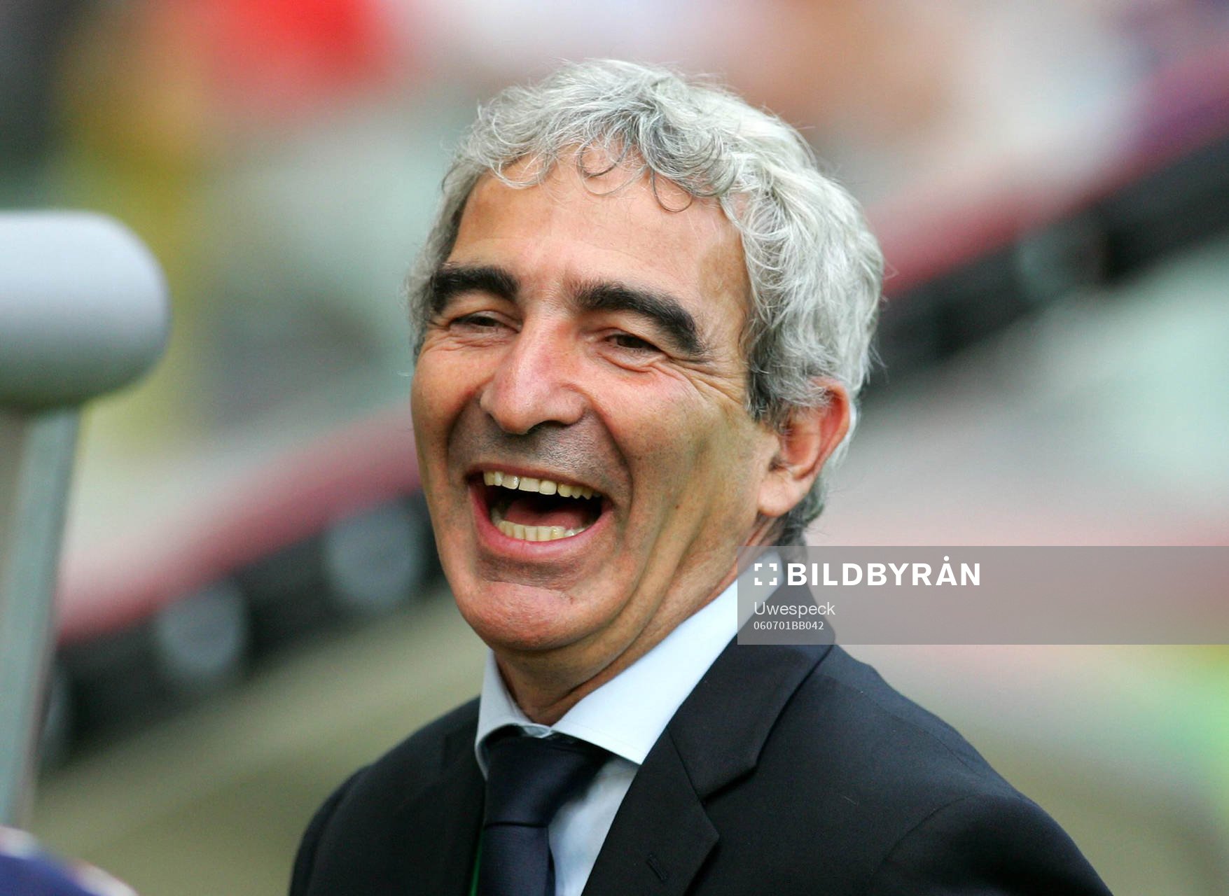 Raymond Domenech, förbundskapten, Frankrike, glad