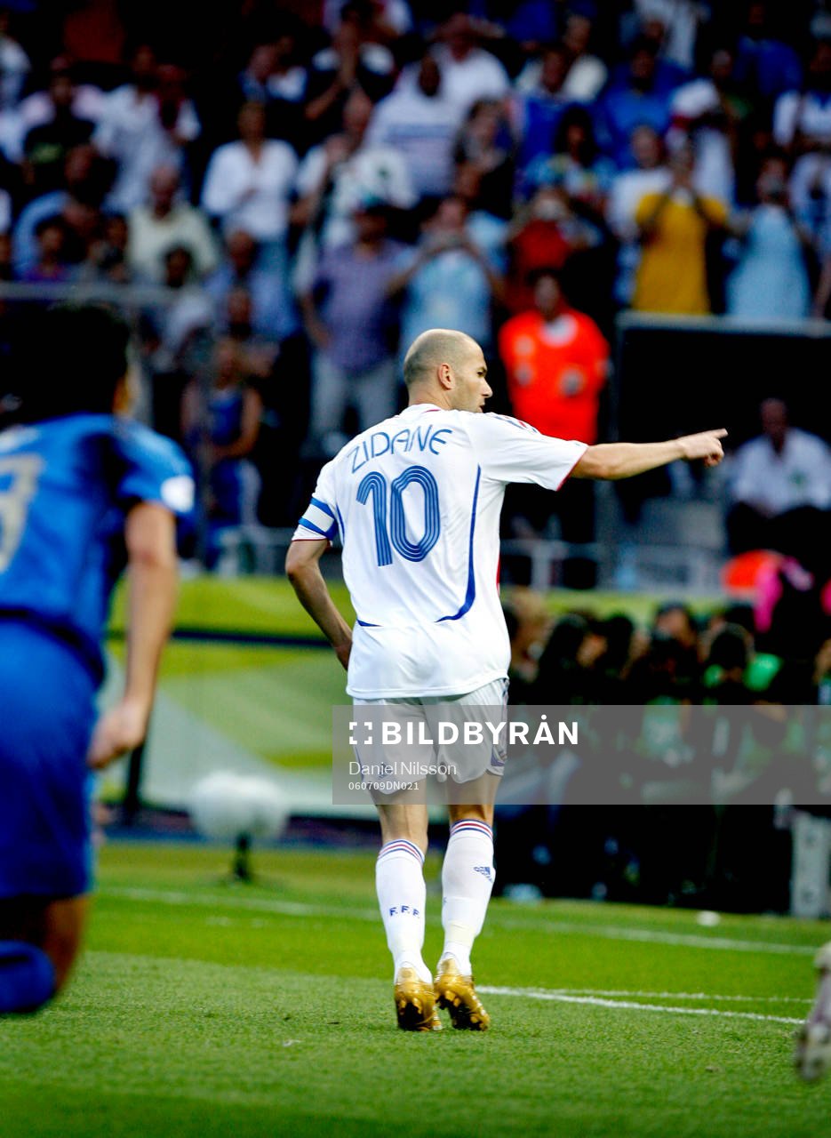 Zinedine Zidane, Frankrike jubel
