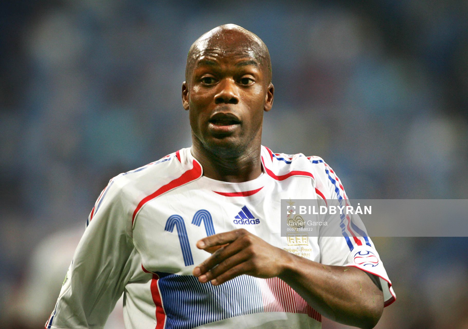 Sylvain Wiltord, Frankrike