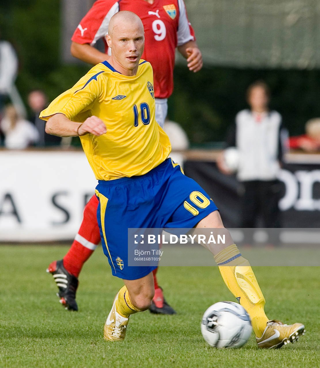 Alexander Farnerud, Sverige