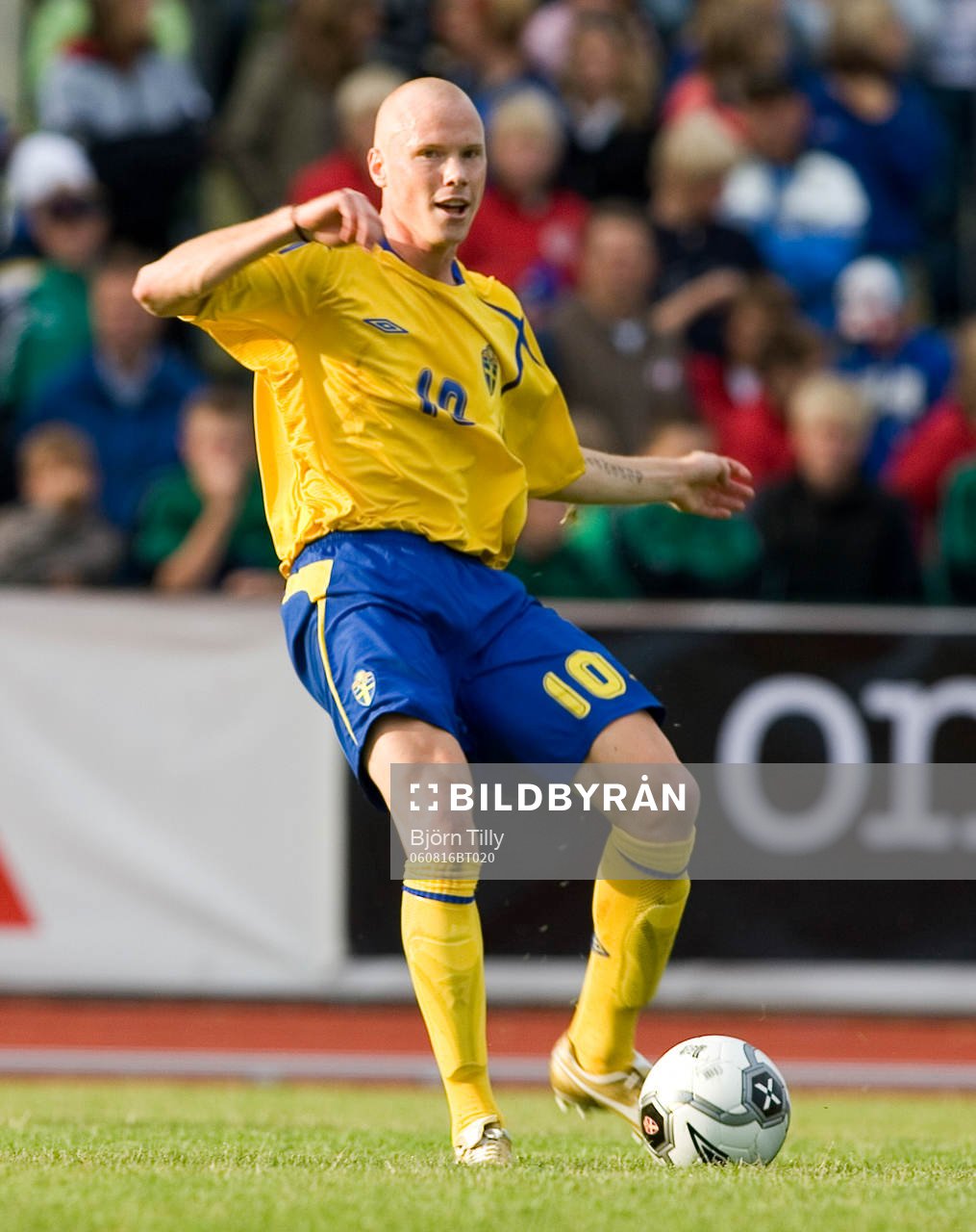 Alexander Farnerud, Sverige
