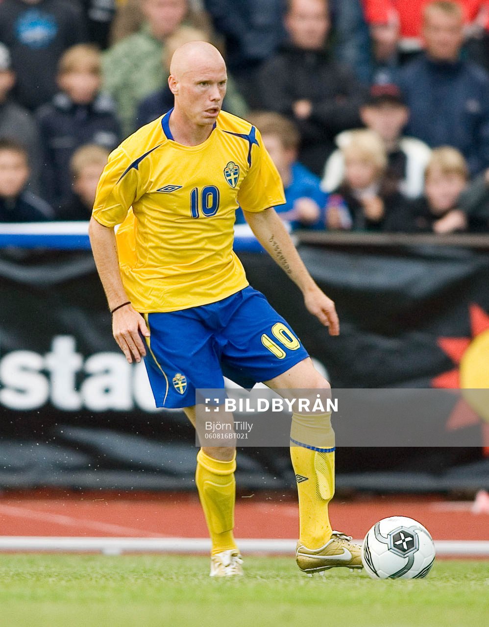 Alexander Farnerud, Sverige