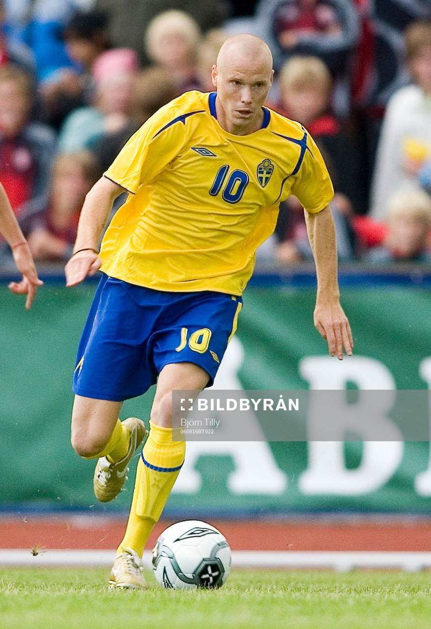 Alexander Farnerud, Sverige