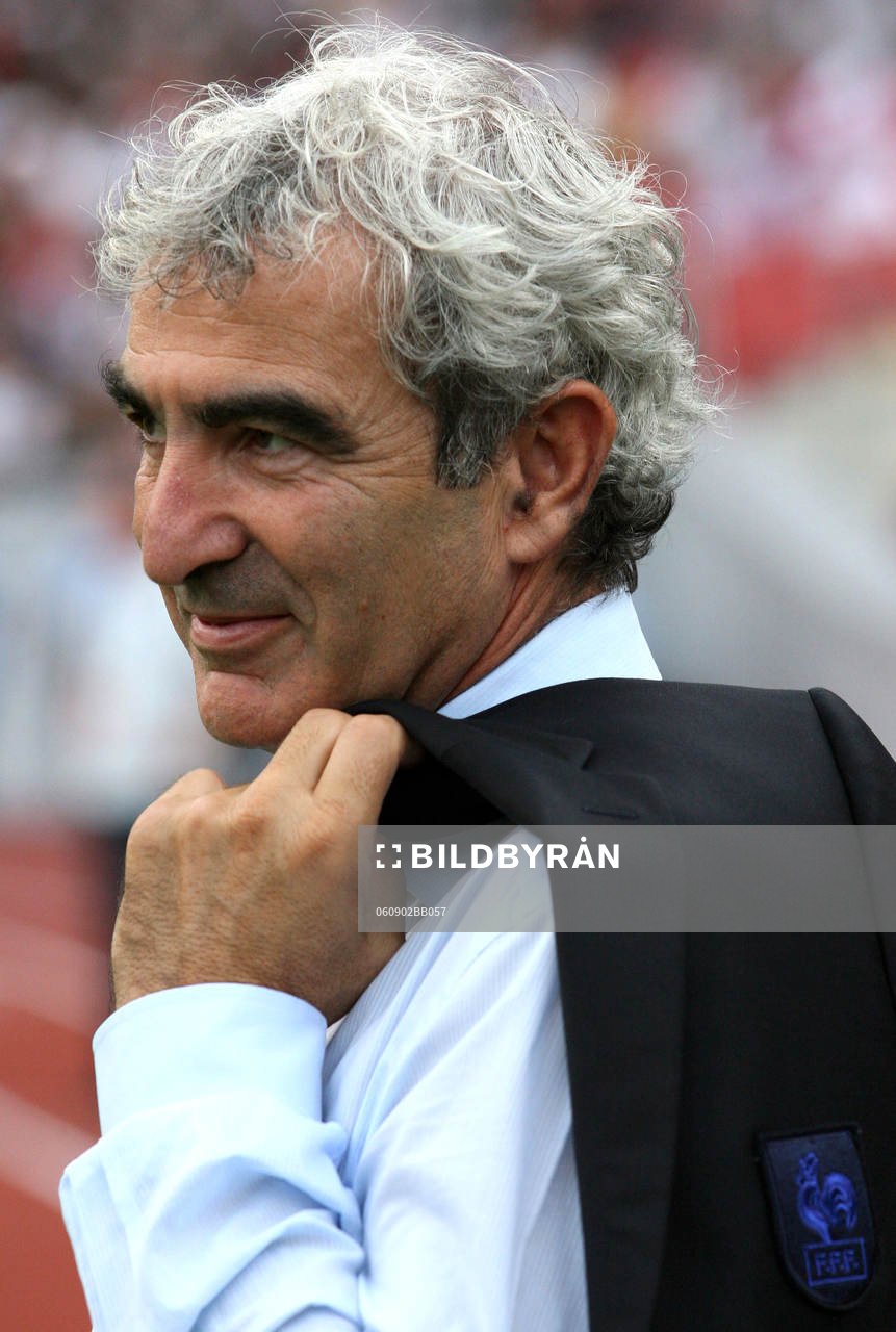 Raymond Domenech, förbundskapten, Frankrike