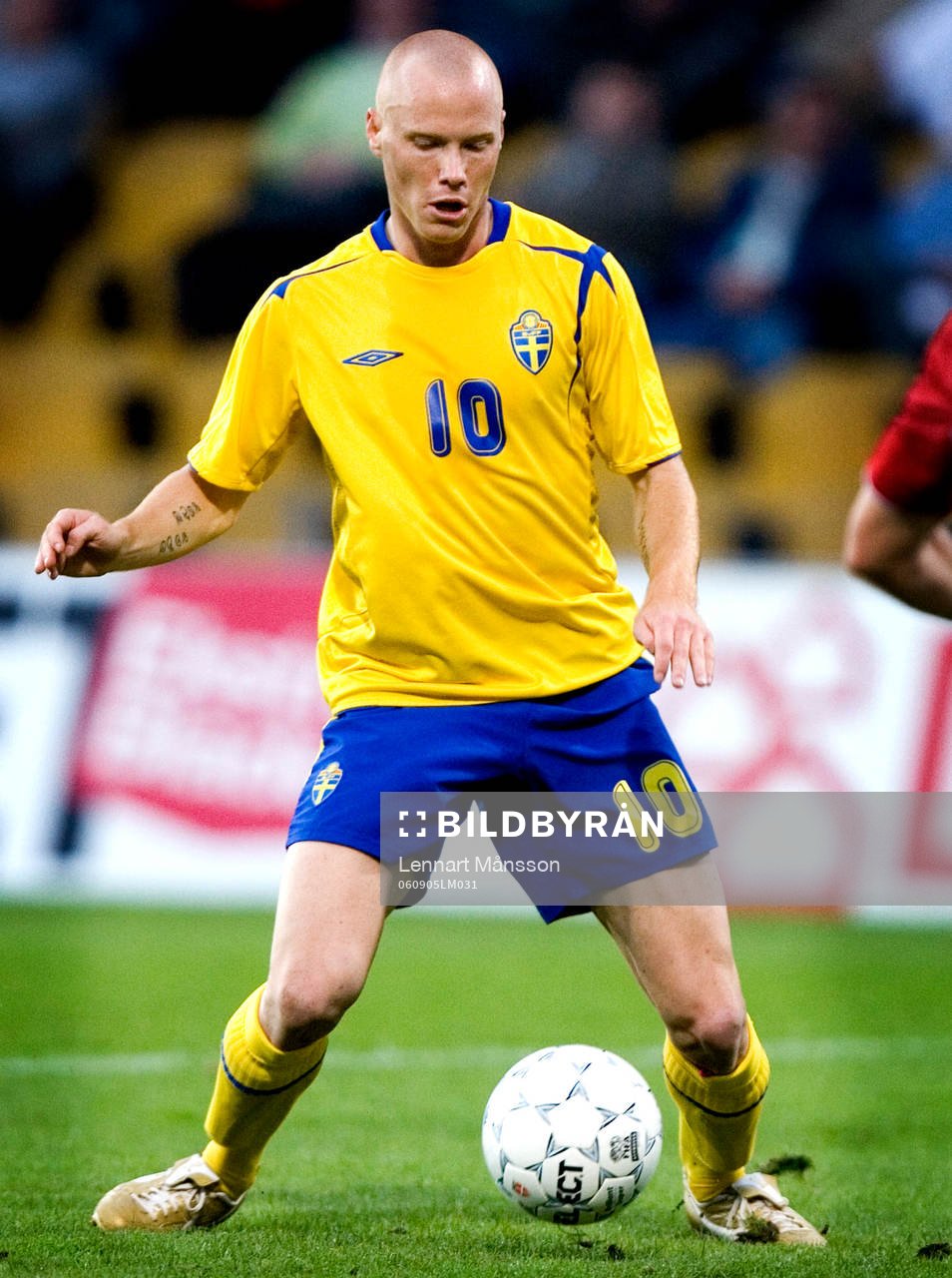 Alexander Farnerud, Sverige