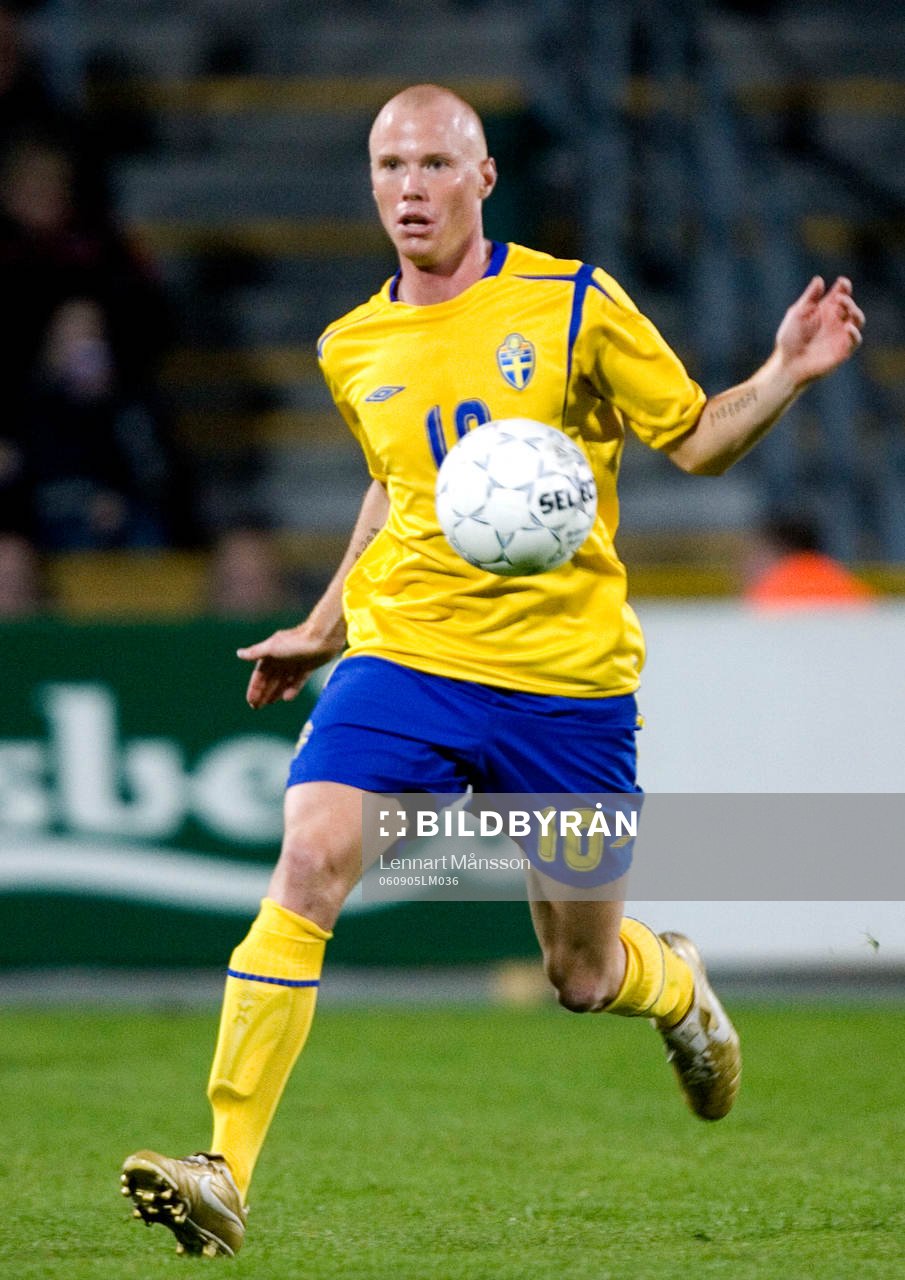 Alexander Farnerud, Sverige