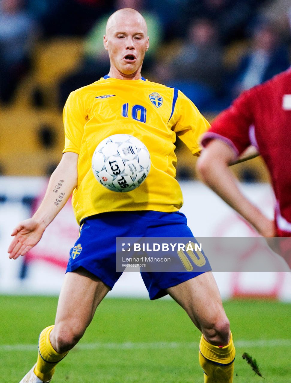 Alexander Farnerud, Sverige
