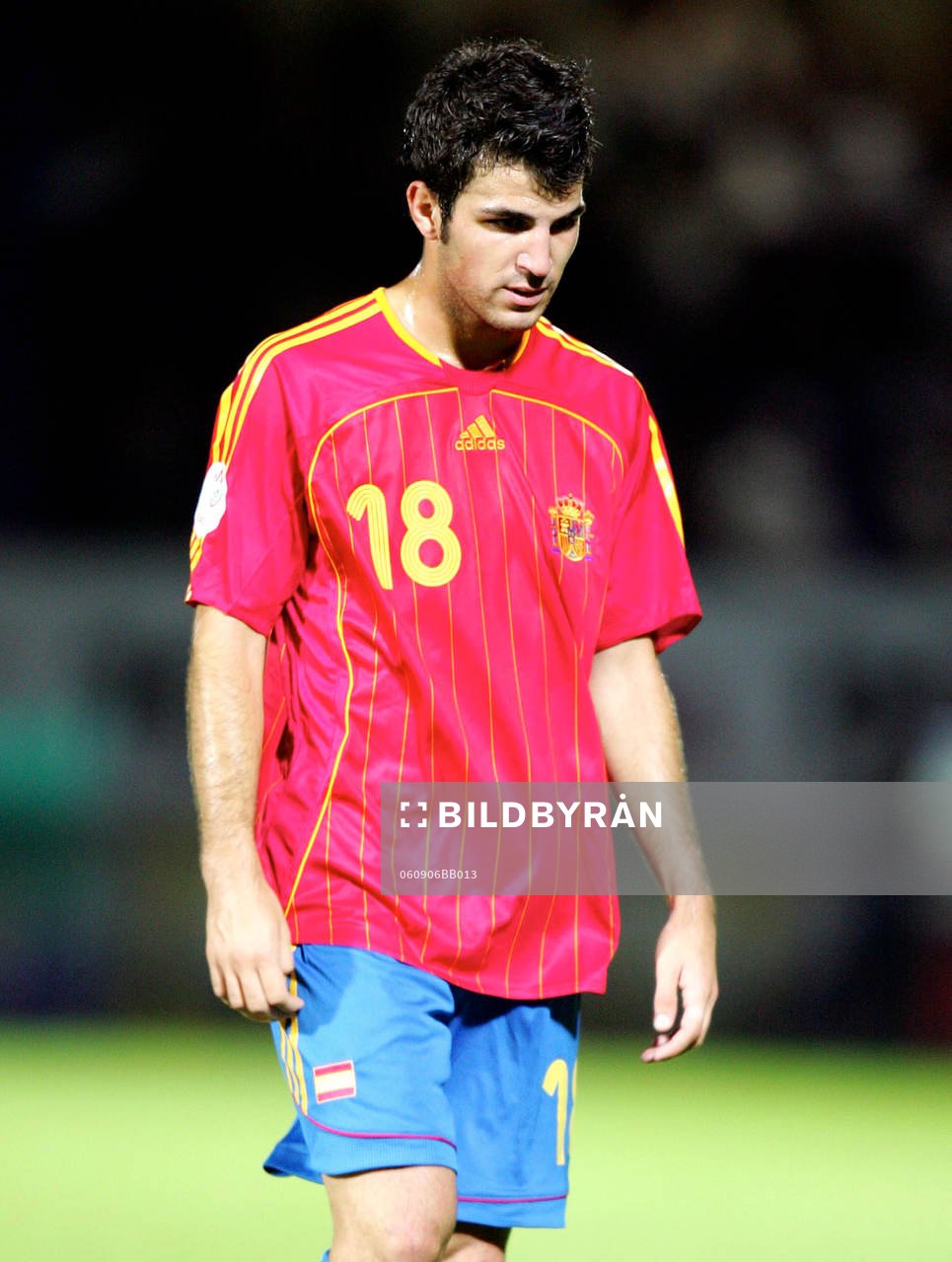 Cesc Fabregas, Spanien, depp