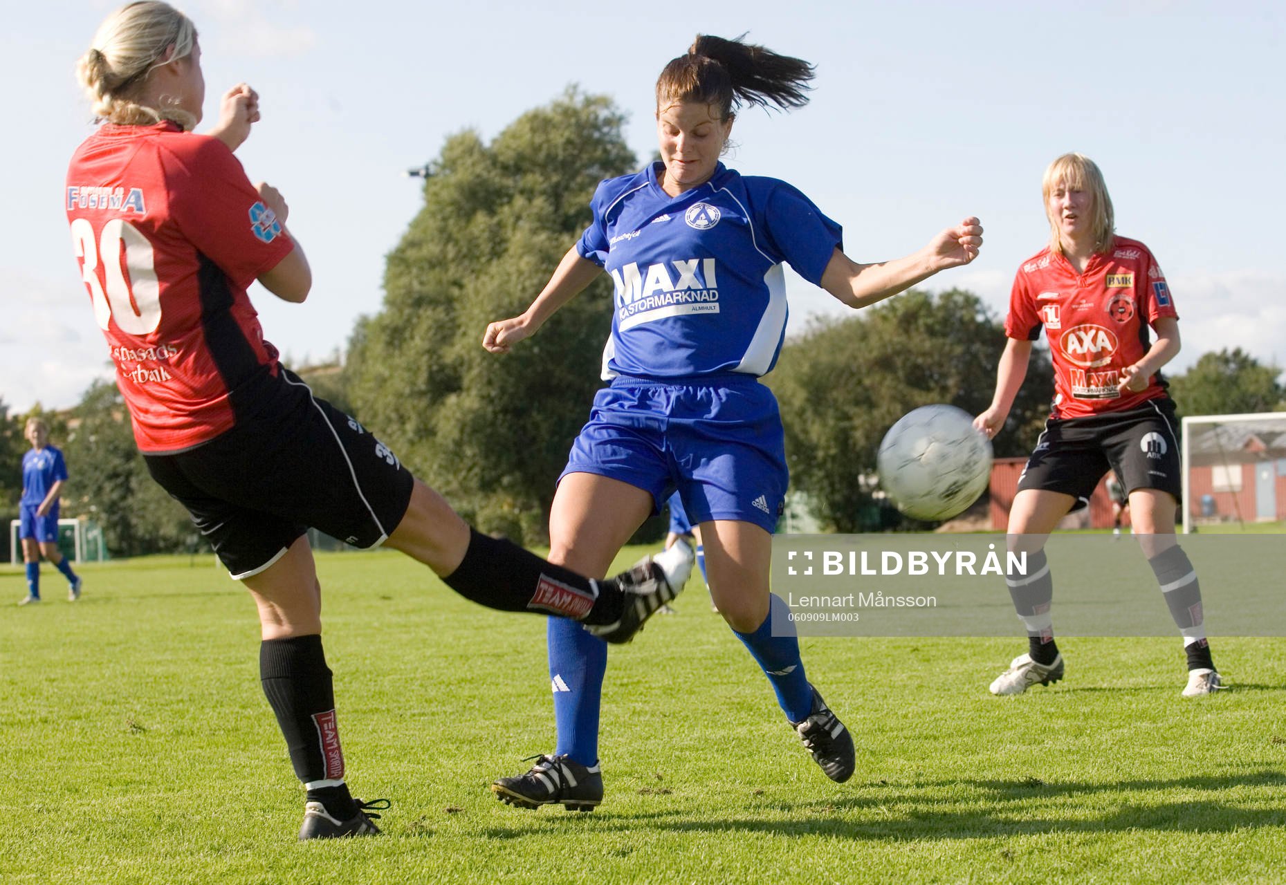 Annii Magliulo, Älmhult, stoppas