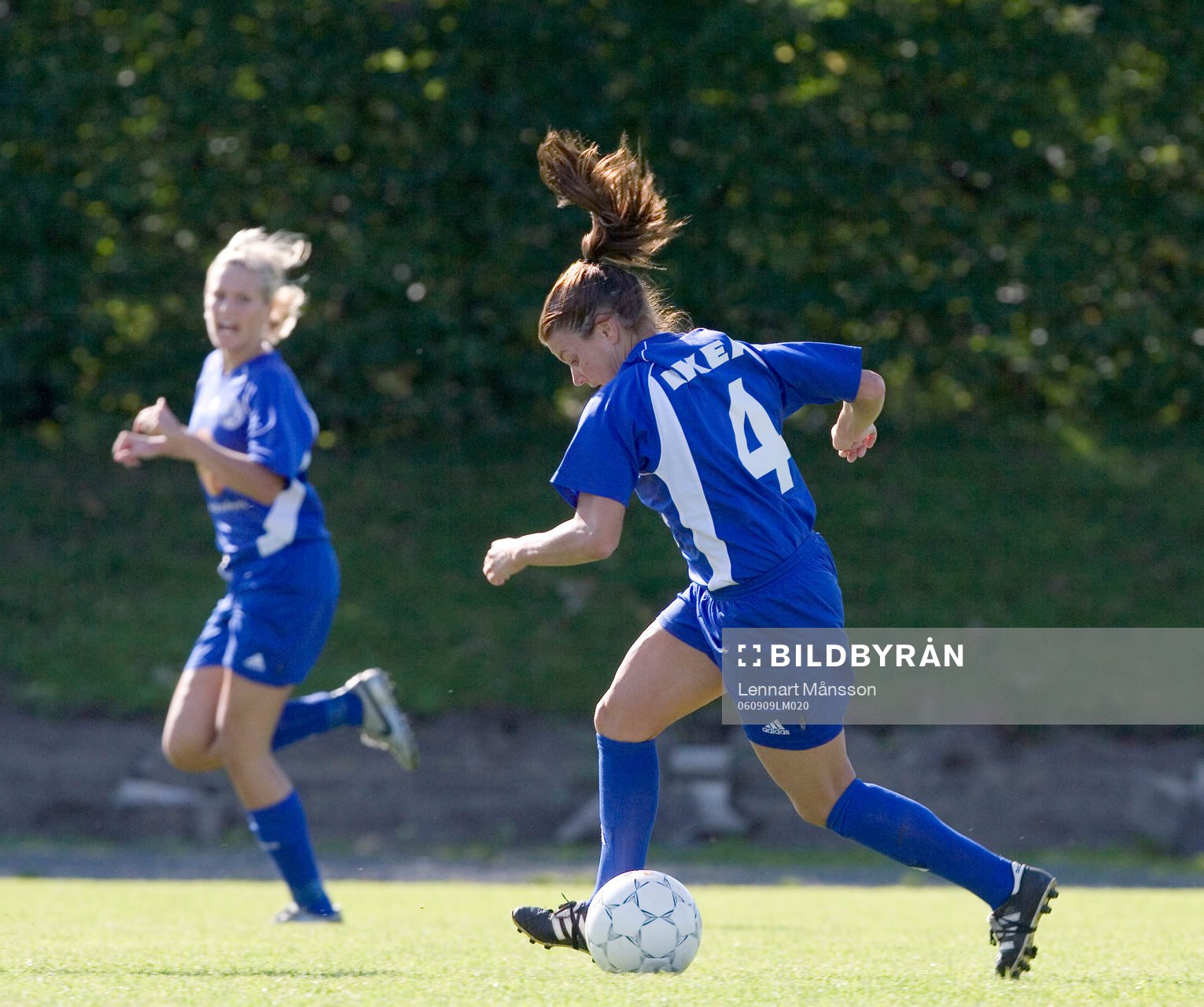 Annii Magliulo, Älmhult