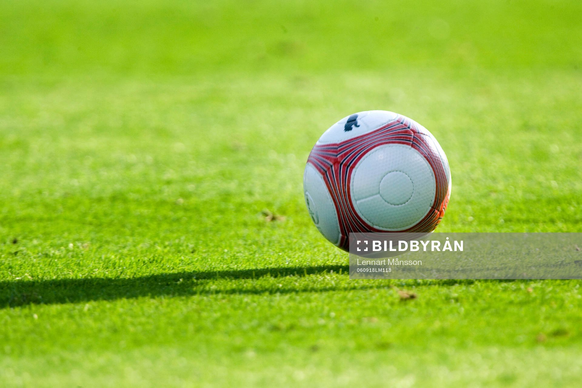 Boll