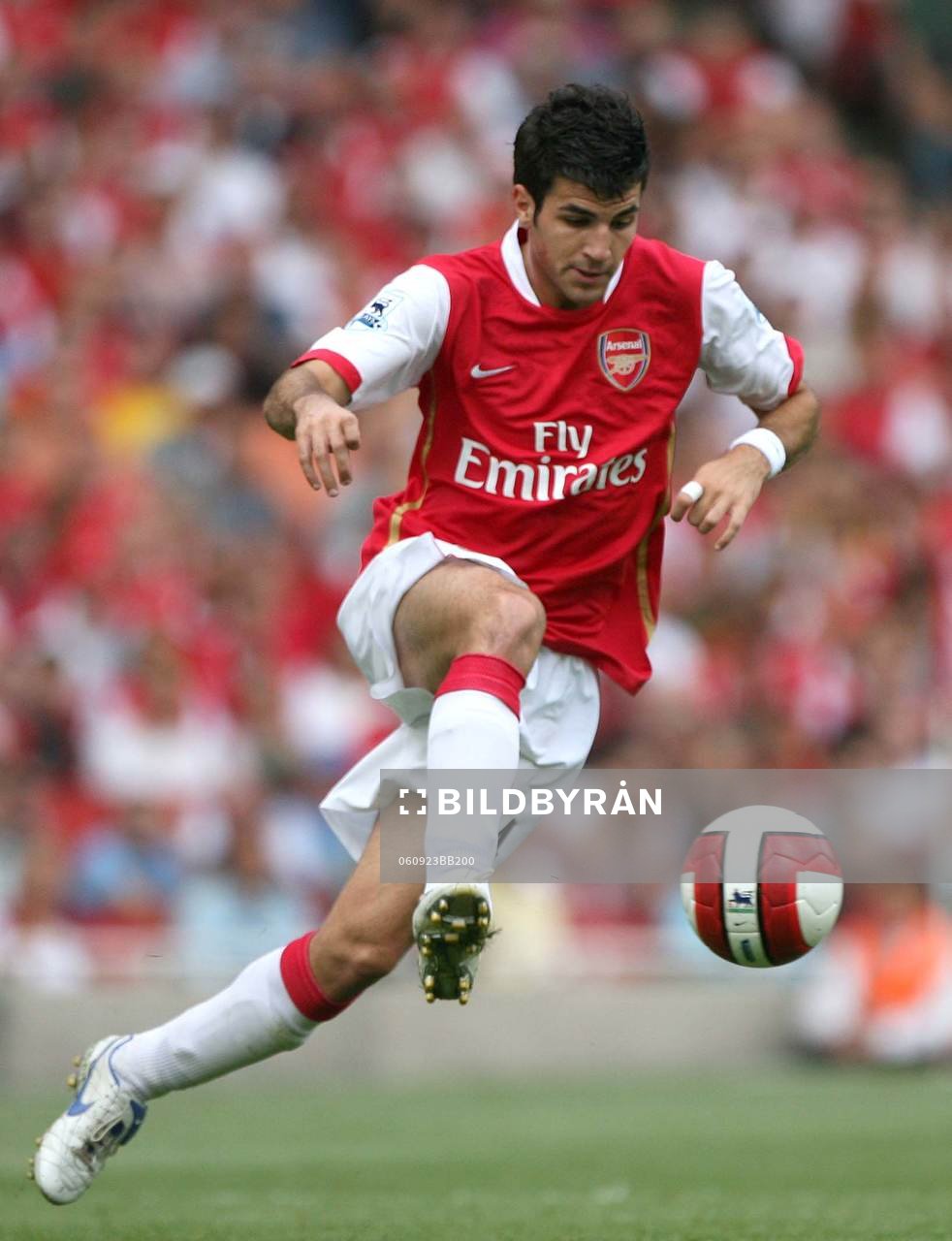 Fotboll, engelsk, premier league, Arsenal - Sheffield