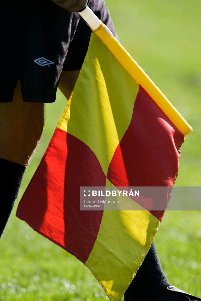 Flagga, linjeflagga