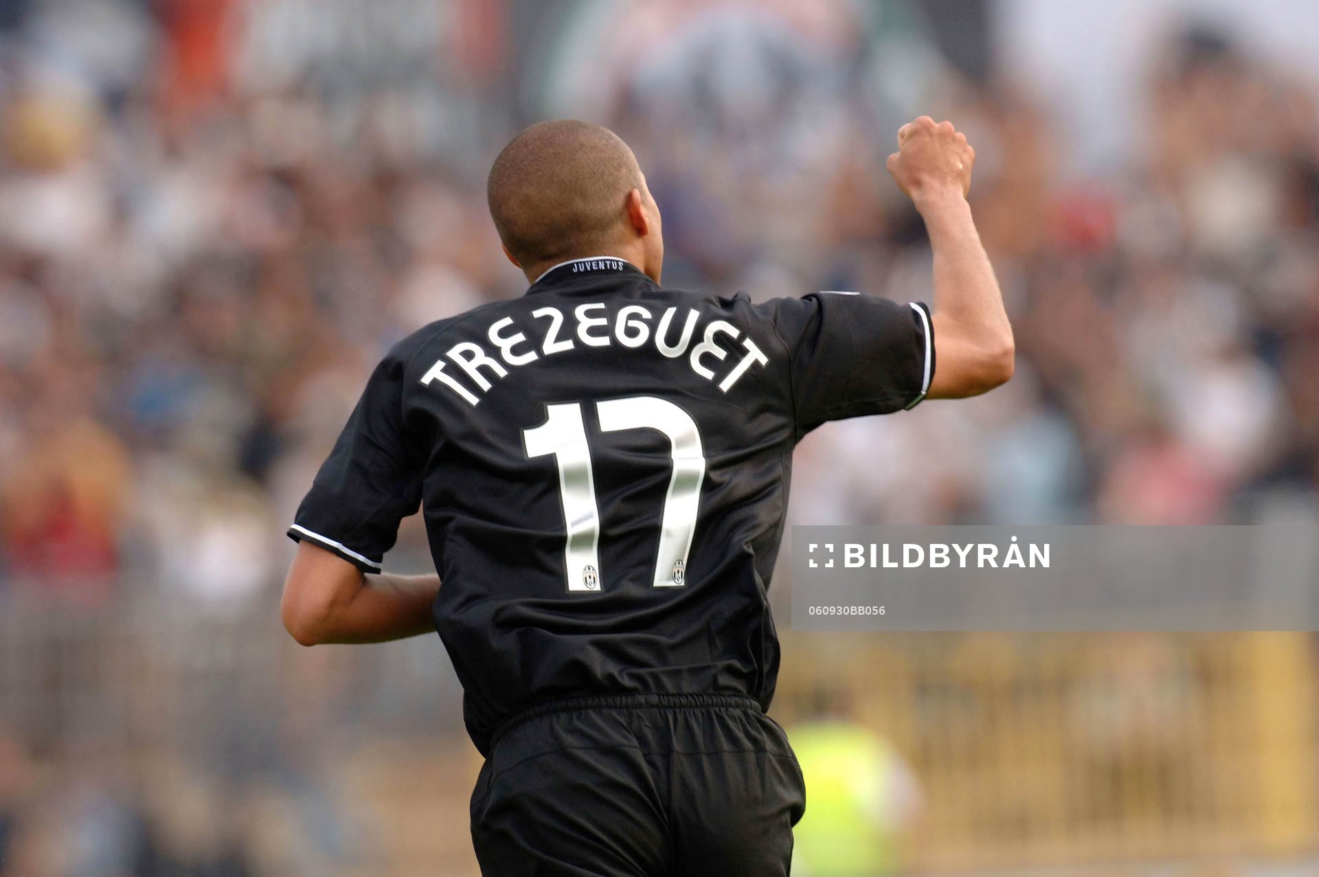 Trezeguet, Juventus