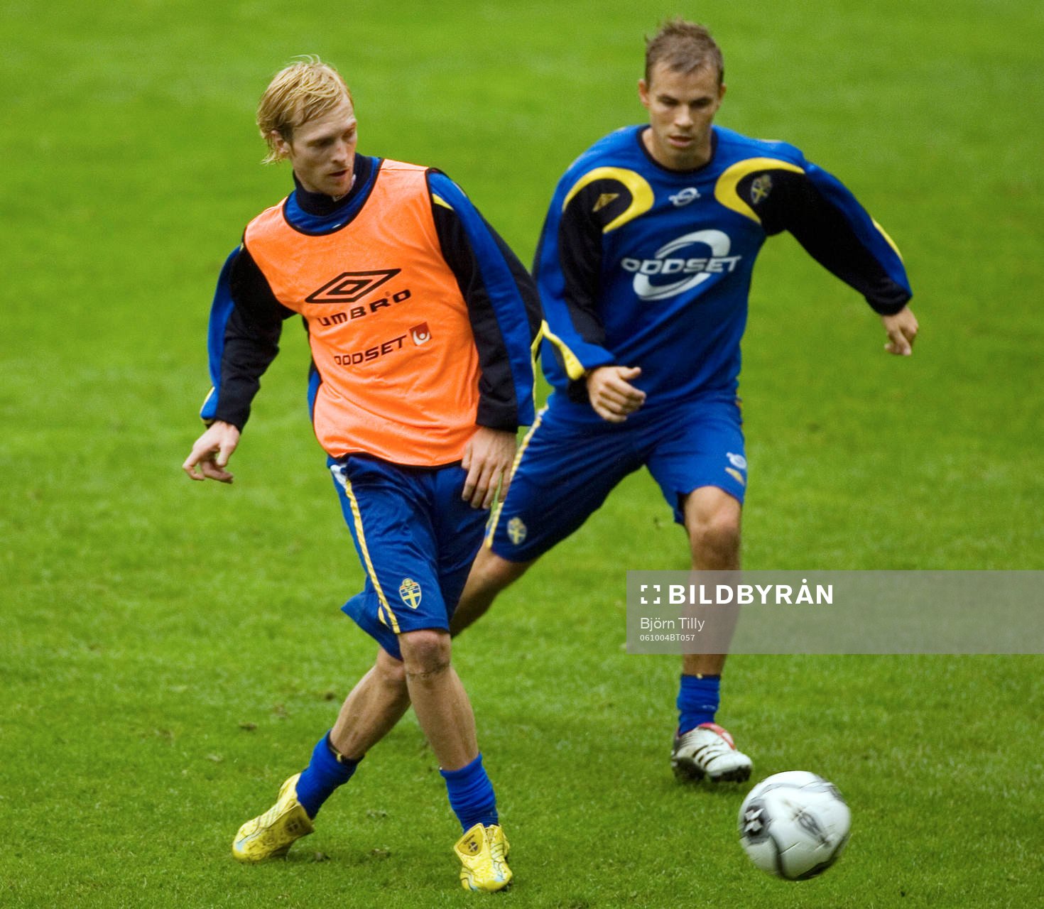 Christian Wilhelmsson och Niclas Alexandersson, Sverige