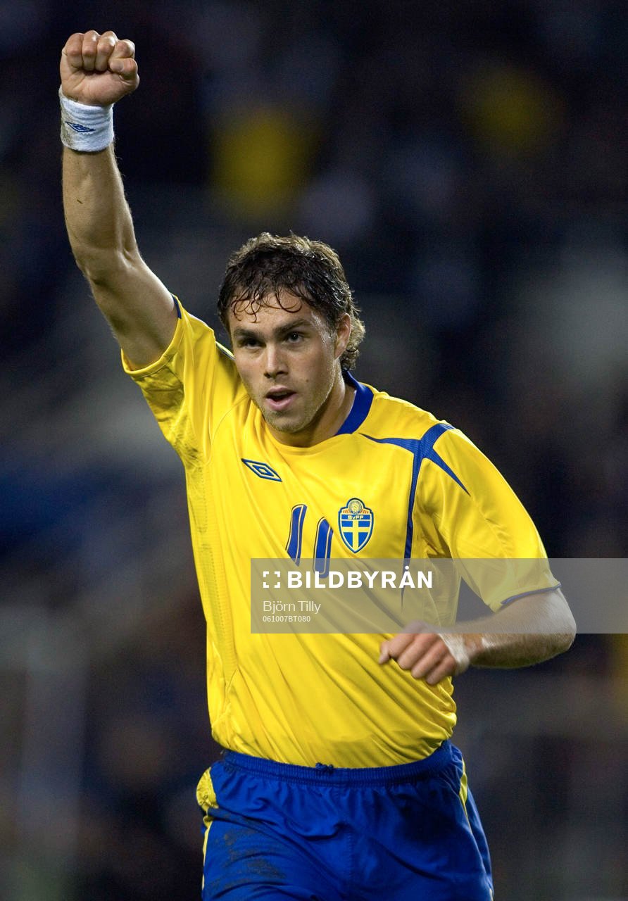 Johan Elmander, Sverige. Jubel