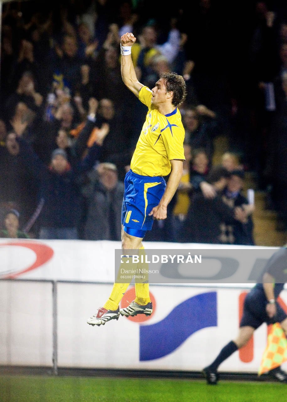 Johan Elmander, Sverige, jubel