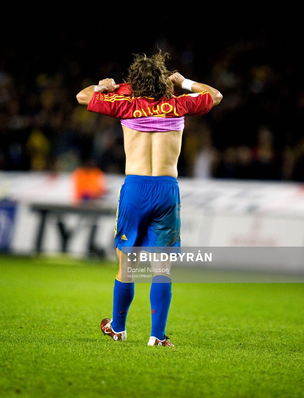 Carles Puyol, Spanien, depp