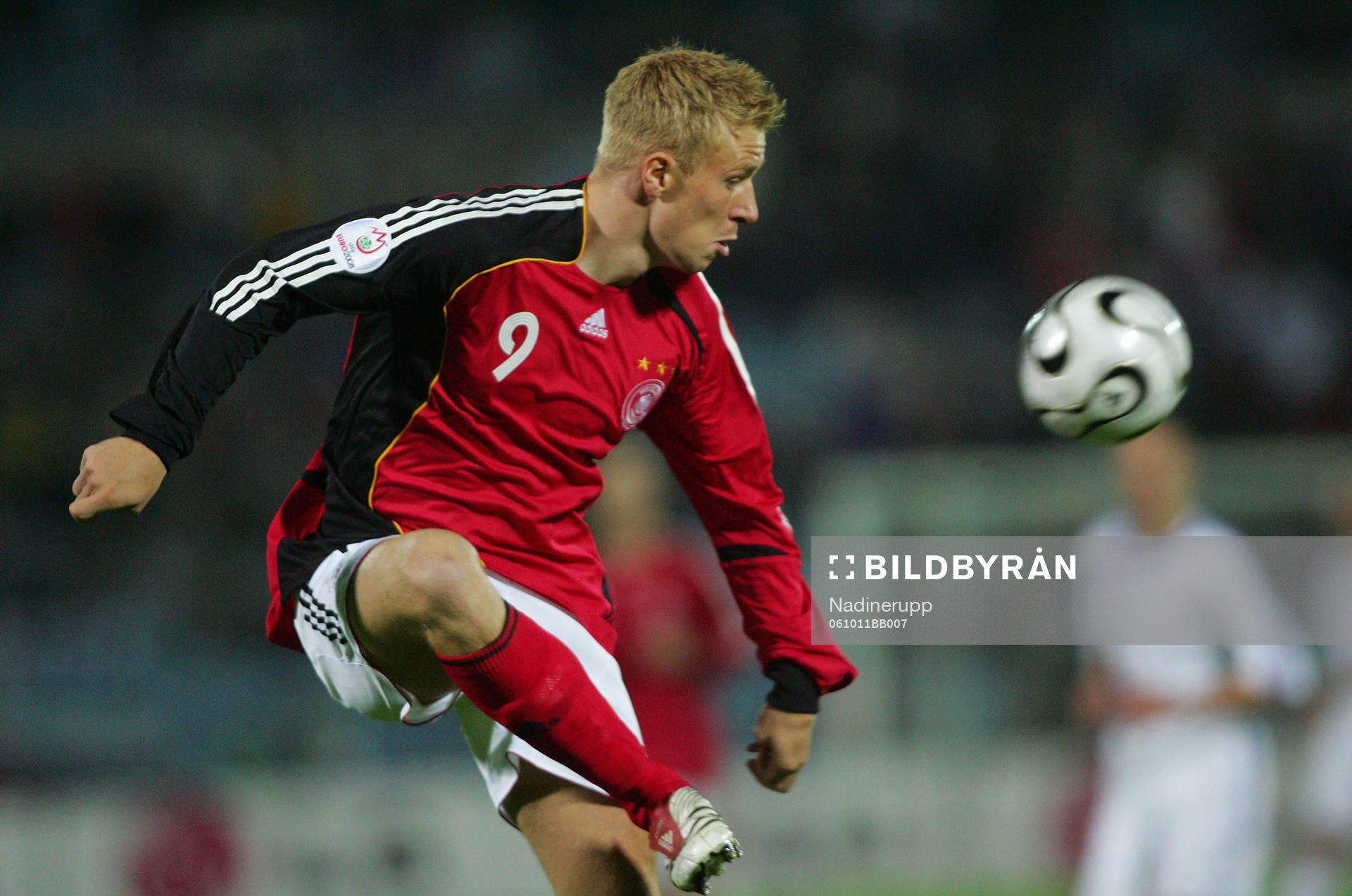 Mike Hanke, Tyskland