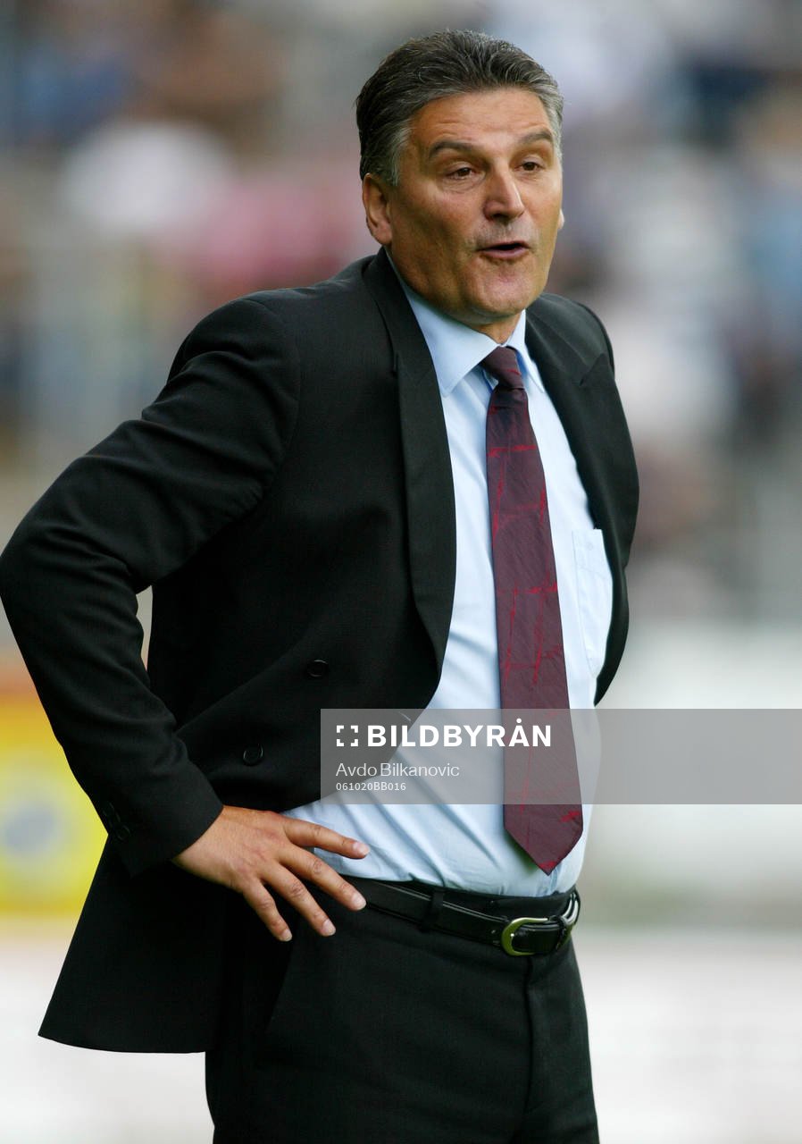Zoran Lukic, tränare, Qviding