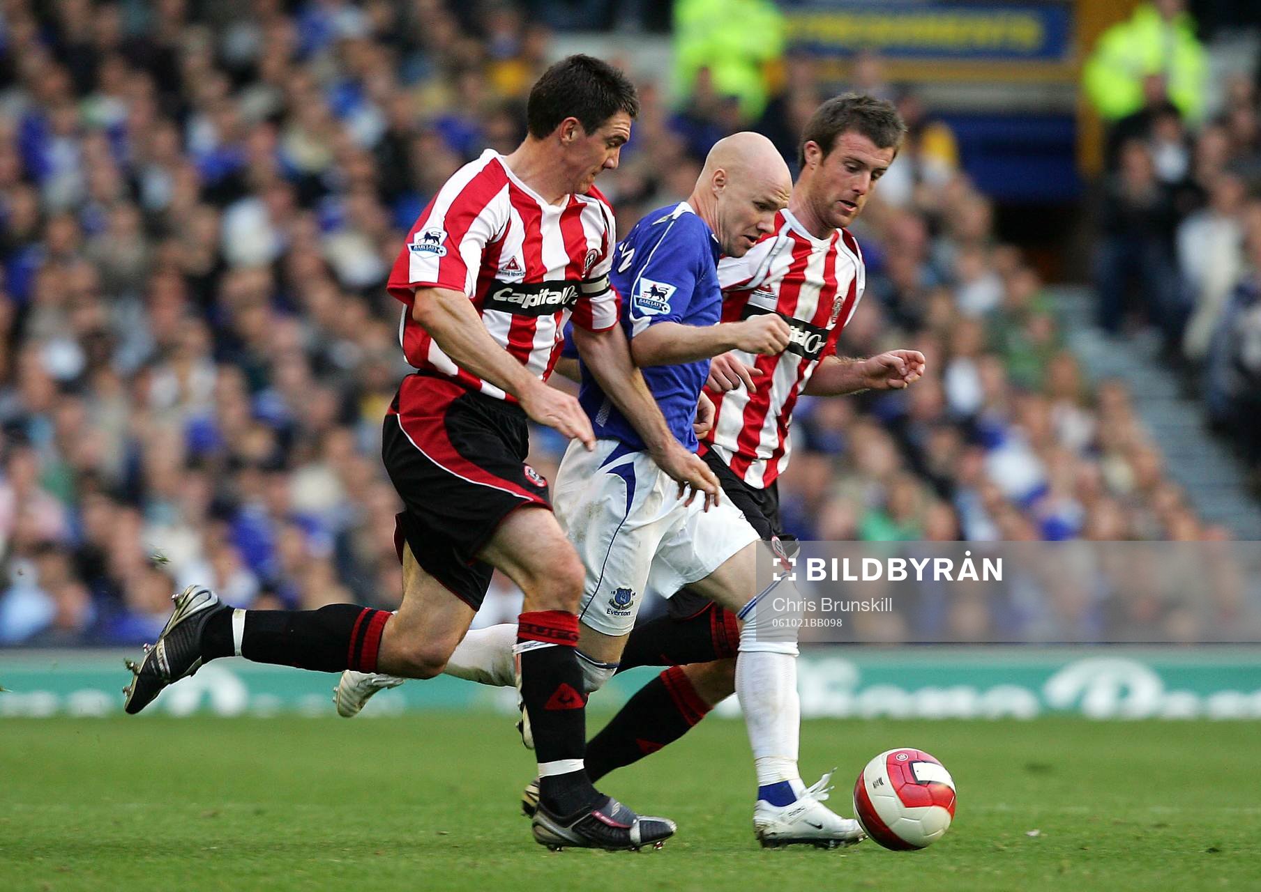 Fotboll, engelsk, Premier Leauge. Everton - Sheffield