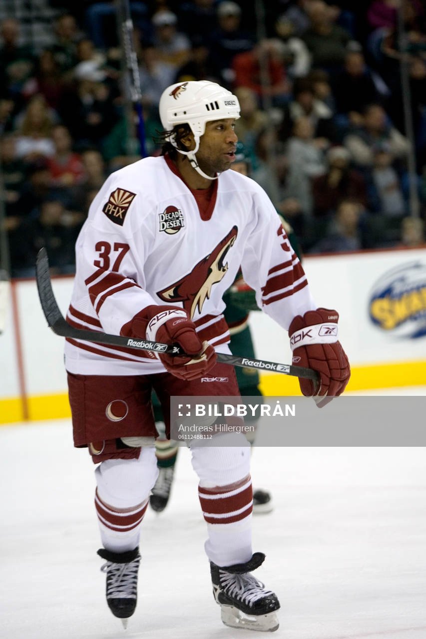 Georges Laraque