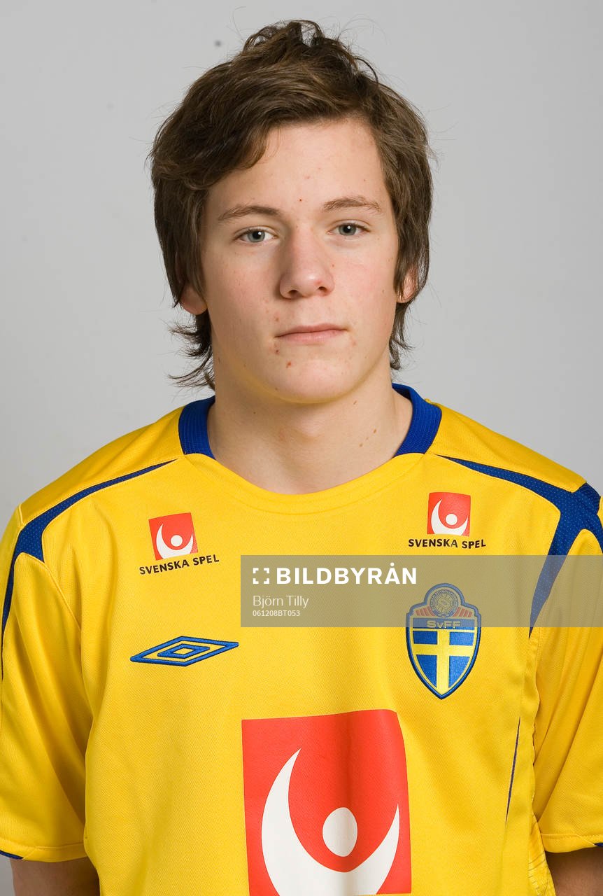 Ludvig Sundström, Sverige
