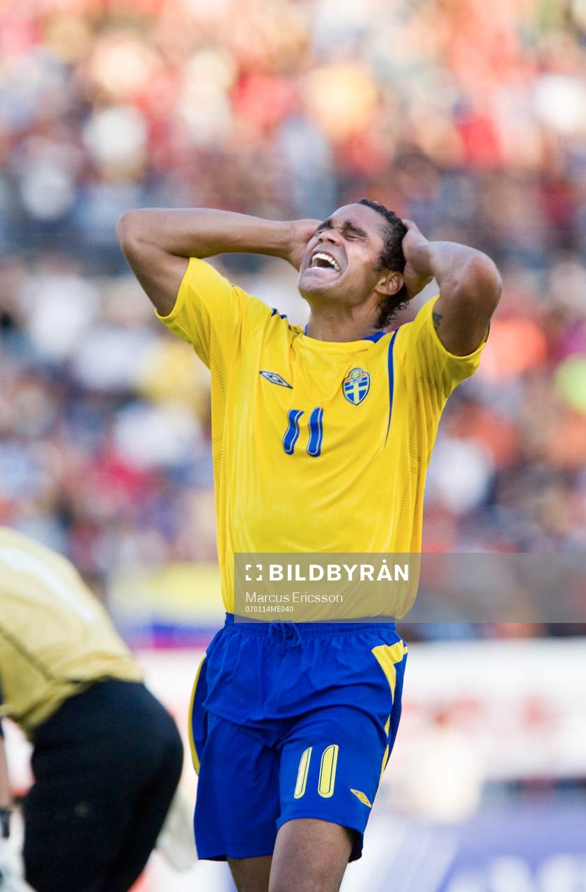 Daniel Nannskog, Sverige