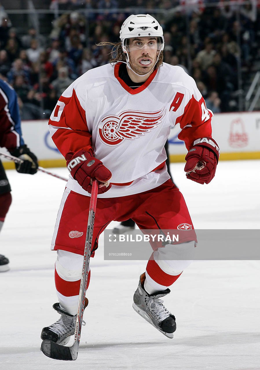 Henrik Zetterberg, Detroit Red Wings