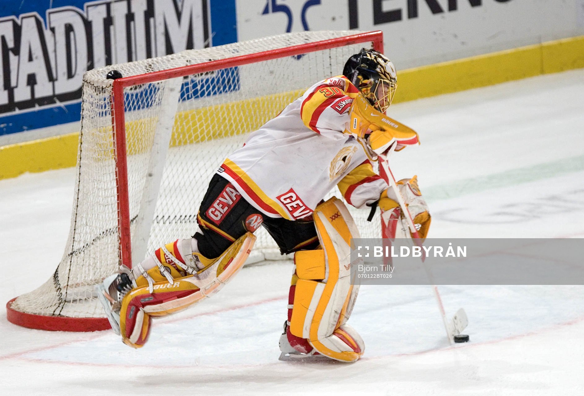 Daniel Sperrle, måvakt, Brynäs