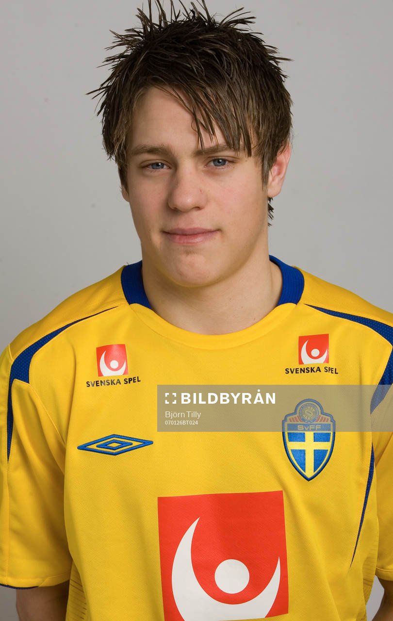 Mikael Karlsson, Sverige