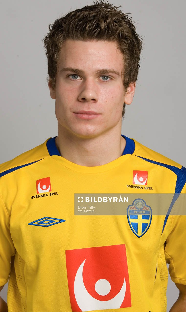 Viktor Niklasson, Sverige