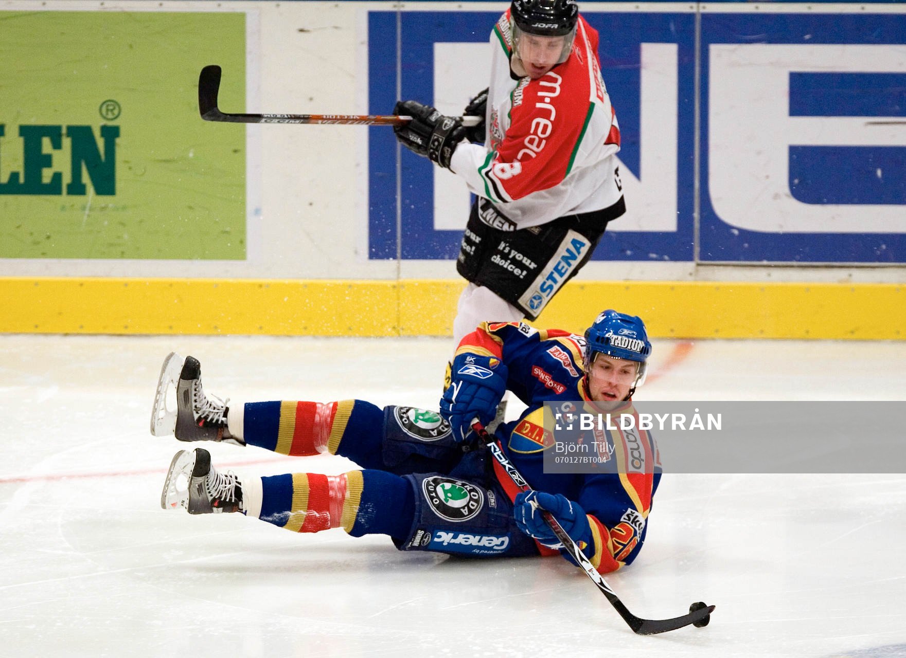 Peter Öberg, Modo och Morten Ask, Djurgården