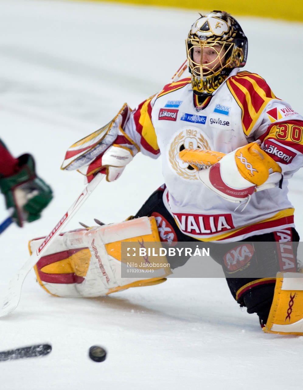 Daniel Sperrle, Målvakt, Brynäs
