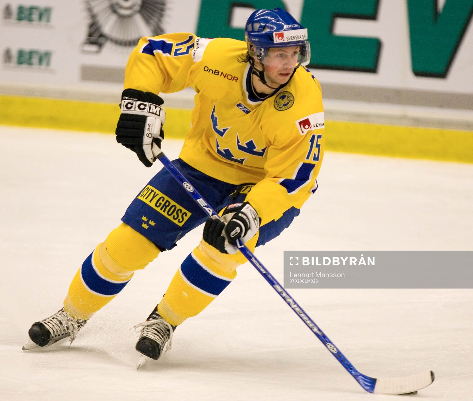 Rickard Wallin, Sverige