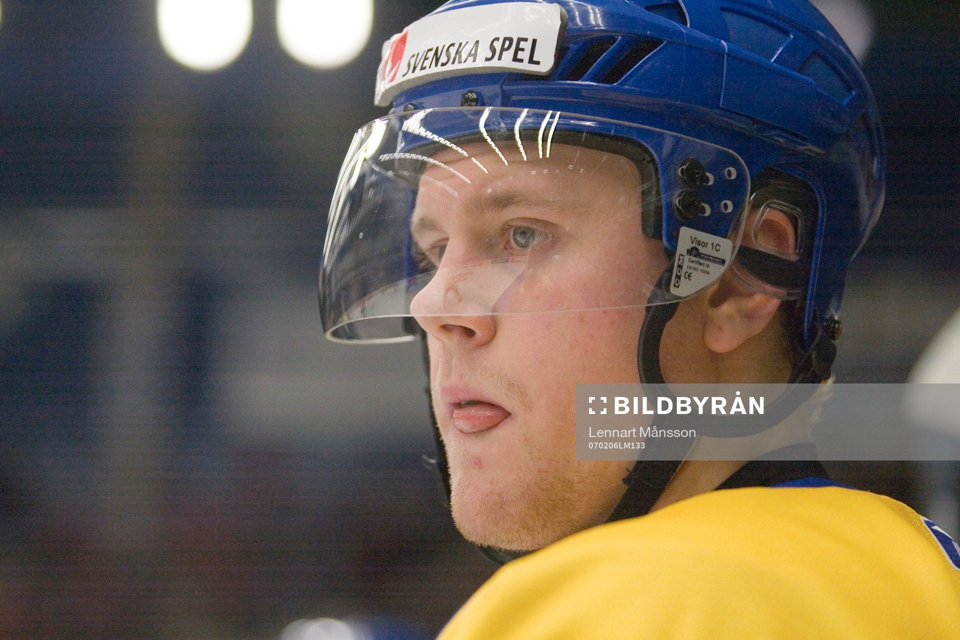Patric Hörnqvist, Sverige