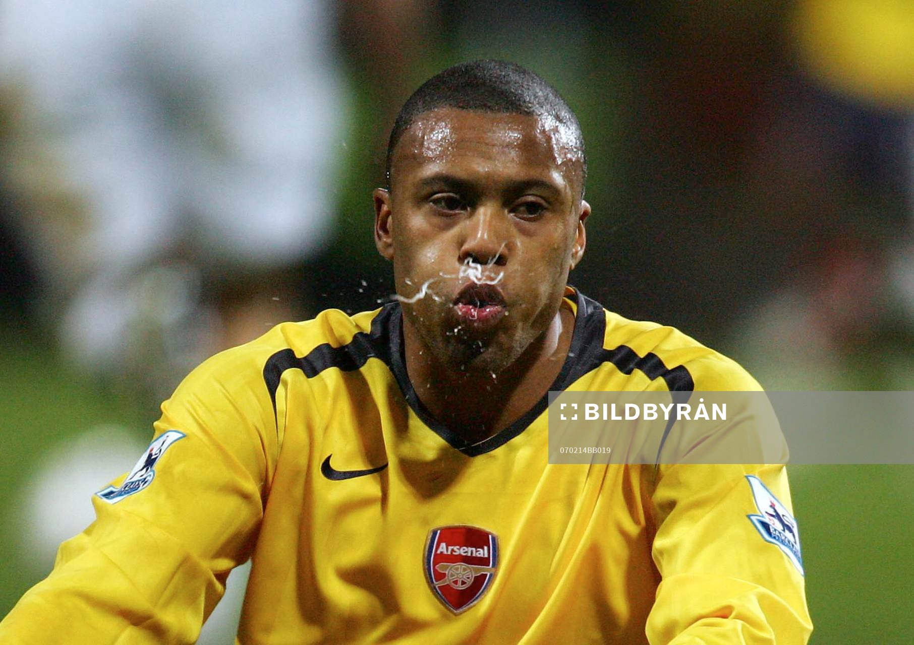Julio Baptista, Arsenal