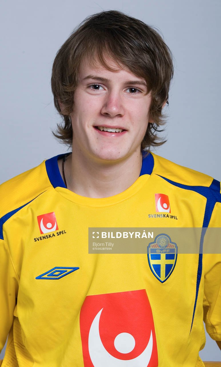 Niklas Johansson, Sverige