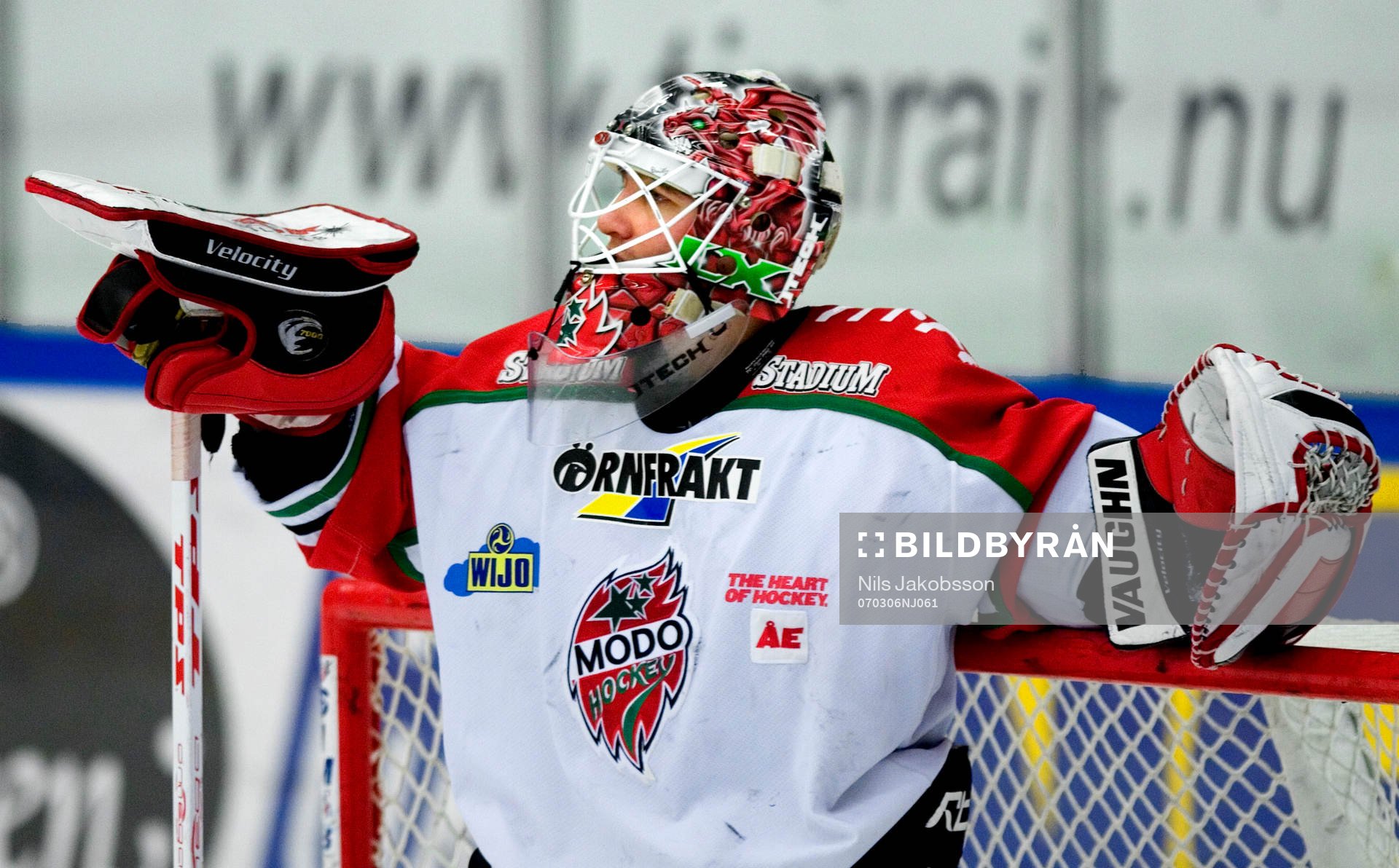 Karol Krizan, målvakt, Modo