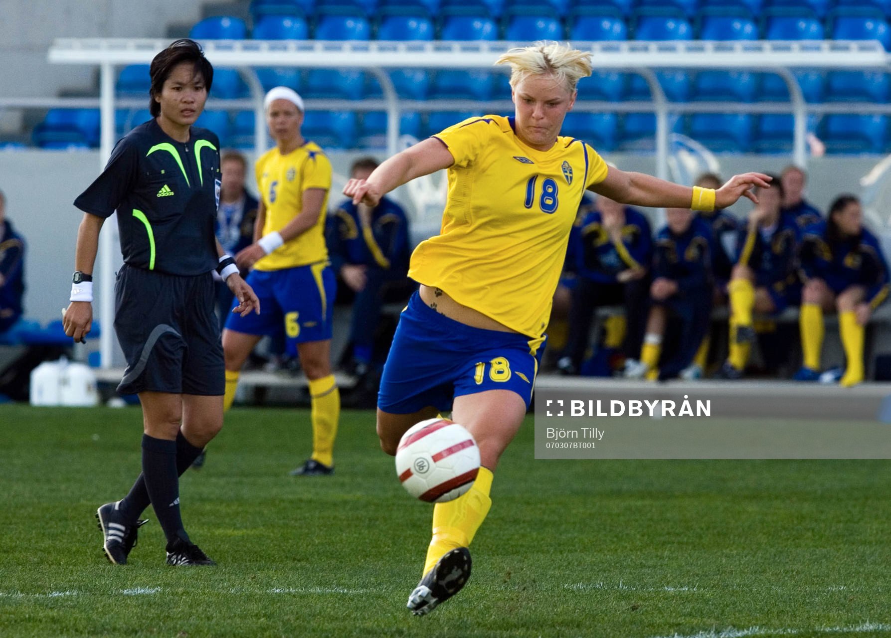 Nilla Fischer, Sverige