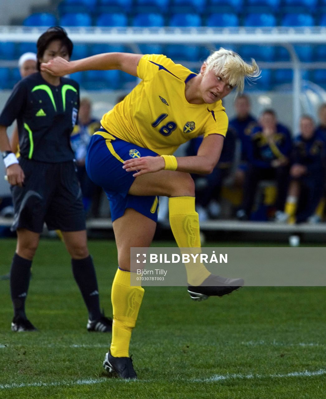 Nilla Fischer, Sverige