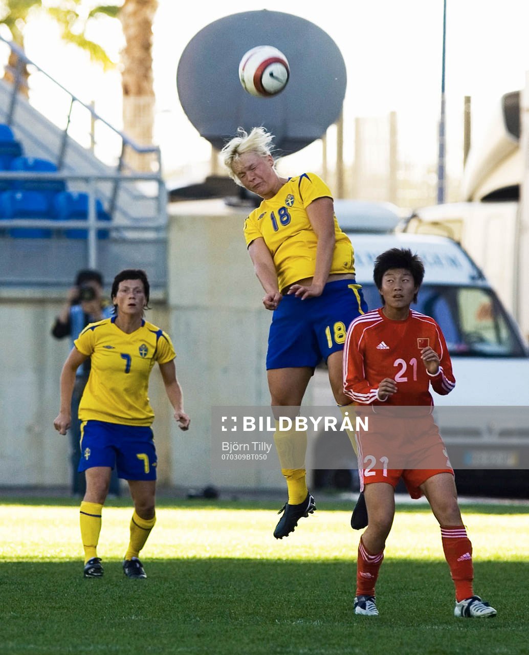 Nilla Fischer, Sverige