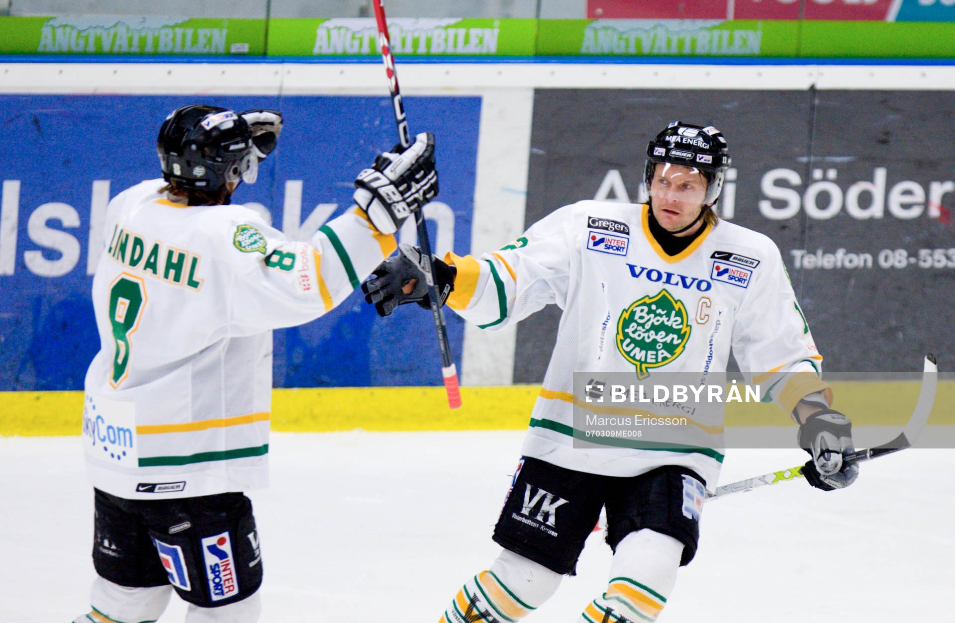 Mats Lavander och Andreas Lindahl, Björklöven jublar