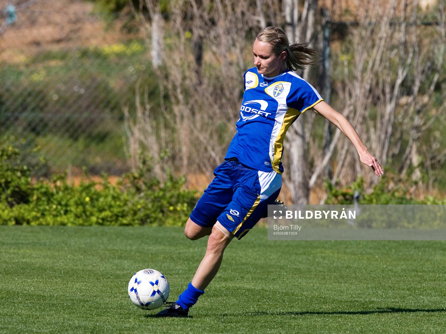 Stina Segerström, Sverige